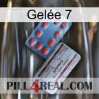 Gelée 7 36